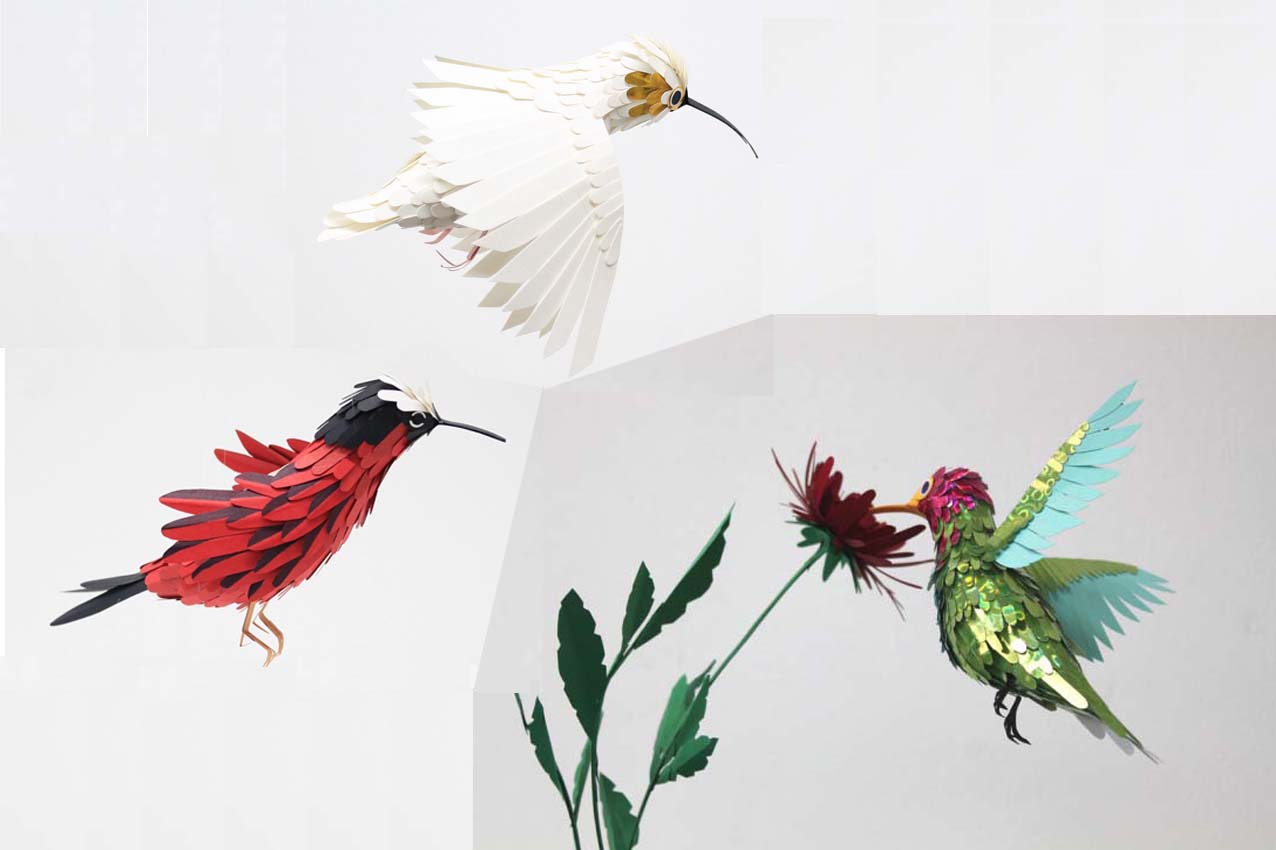 Colibris - hummingbirds by Diana Beltran Herrera